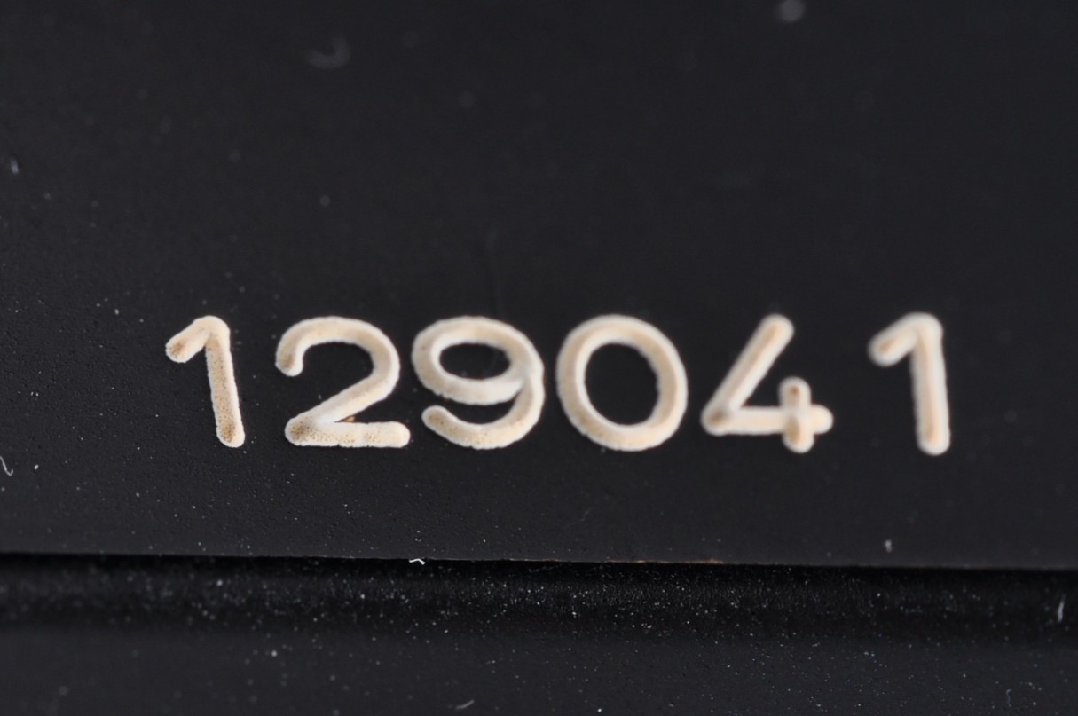 Camera body serial number 129041 — actual item